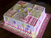 Girl Baby Blanket and Butterfly  Cake