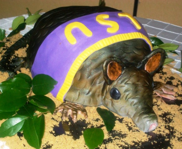 Meet Rufus, Armadillo Cake